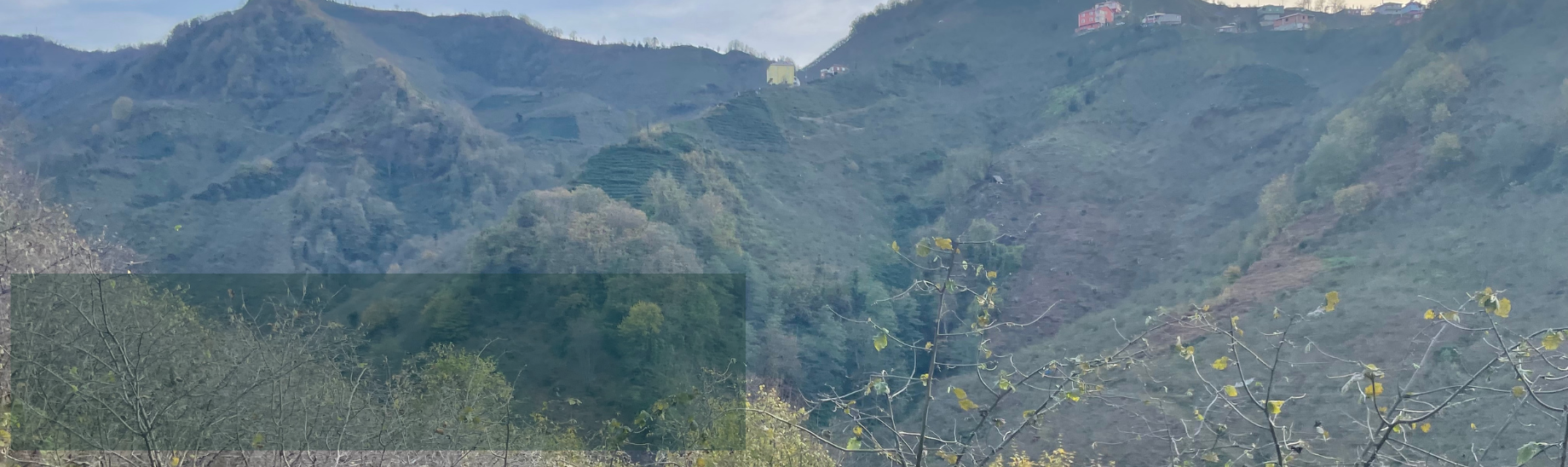 Tarladan Kavanoza Şeffaflık ve Titizlik